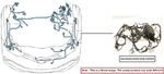 Engine Room Harness Oem 2022 Ford Broncospt Used. Price: $299.00.