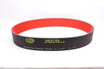 Brand New Never Run N11-1595-84N Gates Rcd Nitro Belt.. Price: $249.99.