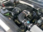 Ford F150 Lightning Svt 5.4L 01-04 Whipple Supercharger 2.9L New. Price: $5799.99.